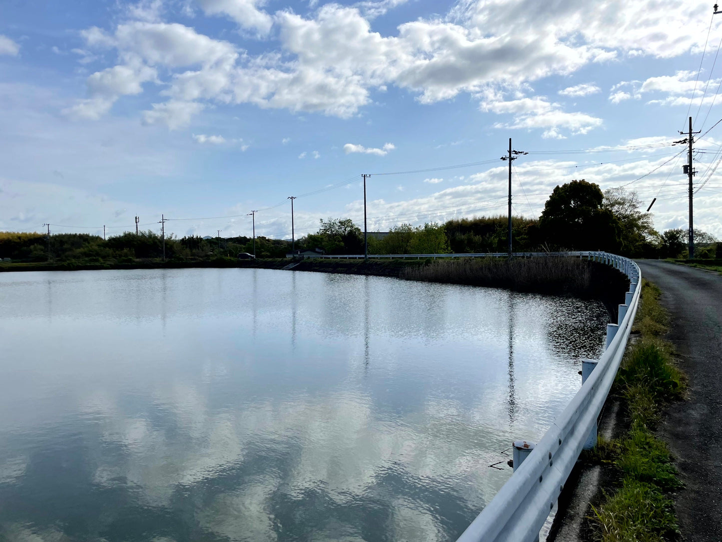 ◆皿池(朝妻町)