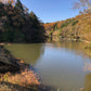 ◆寺田大池