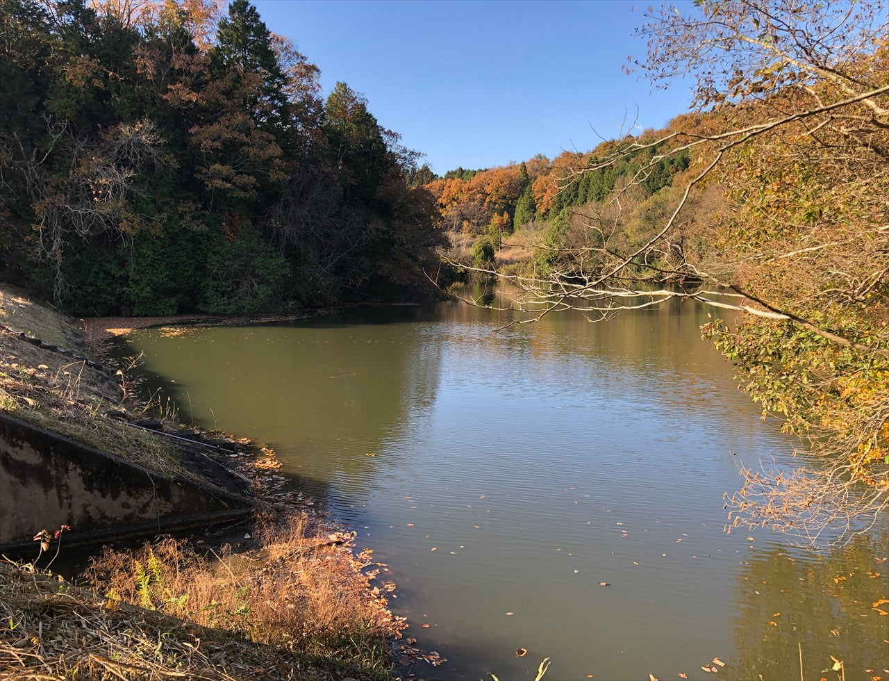 ◆寺田大池
