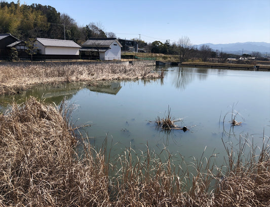北八ツ池（綾川町）