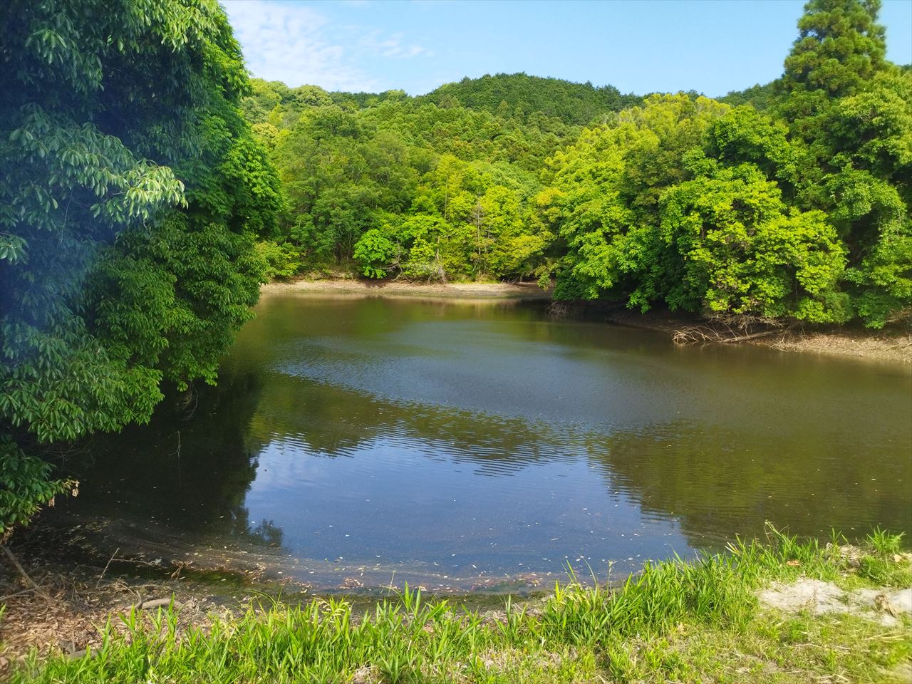 ◆辻池（広川町日吉）