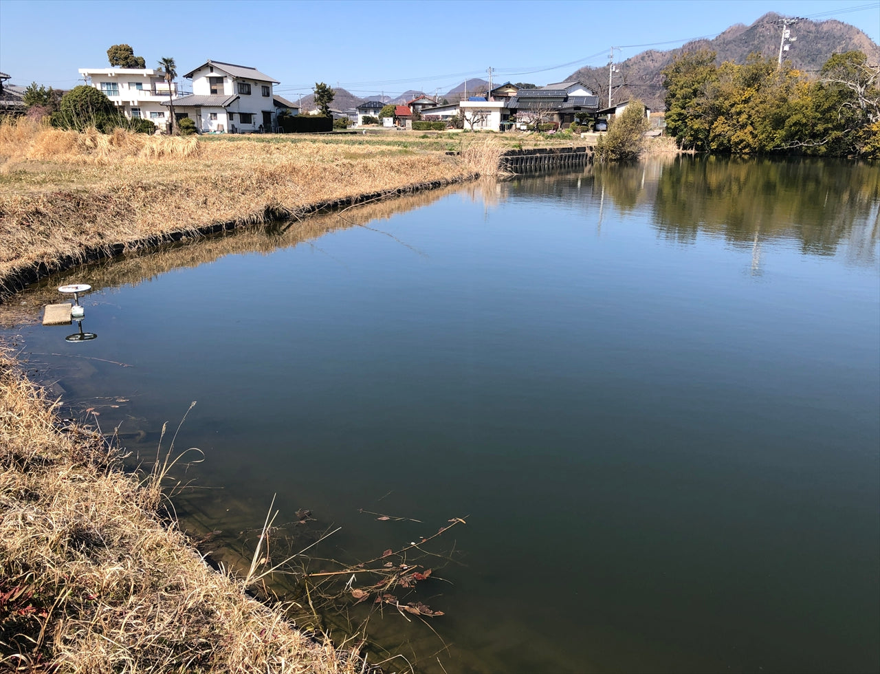 ◆西谷池