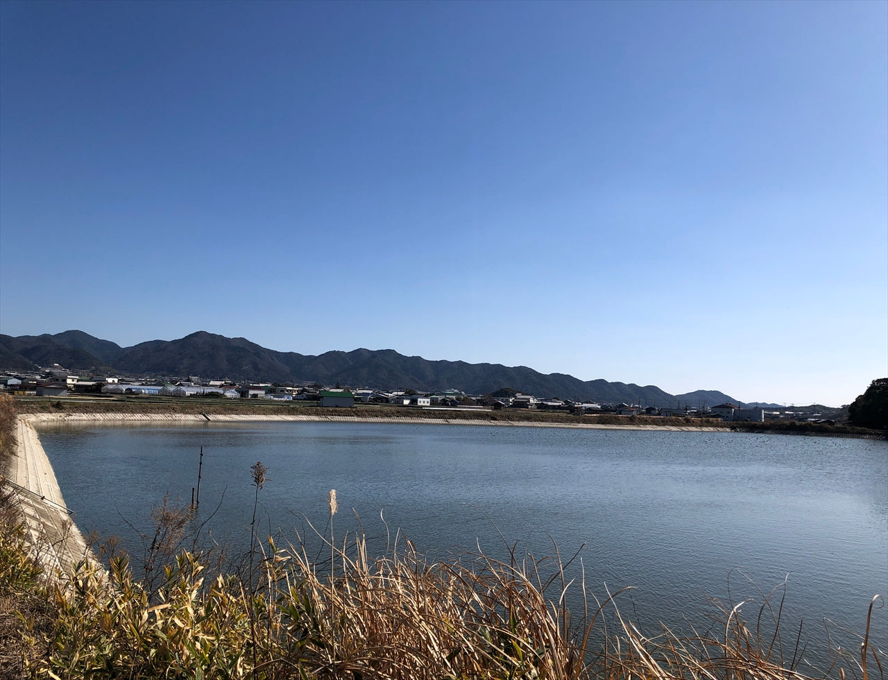 ◆天王池