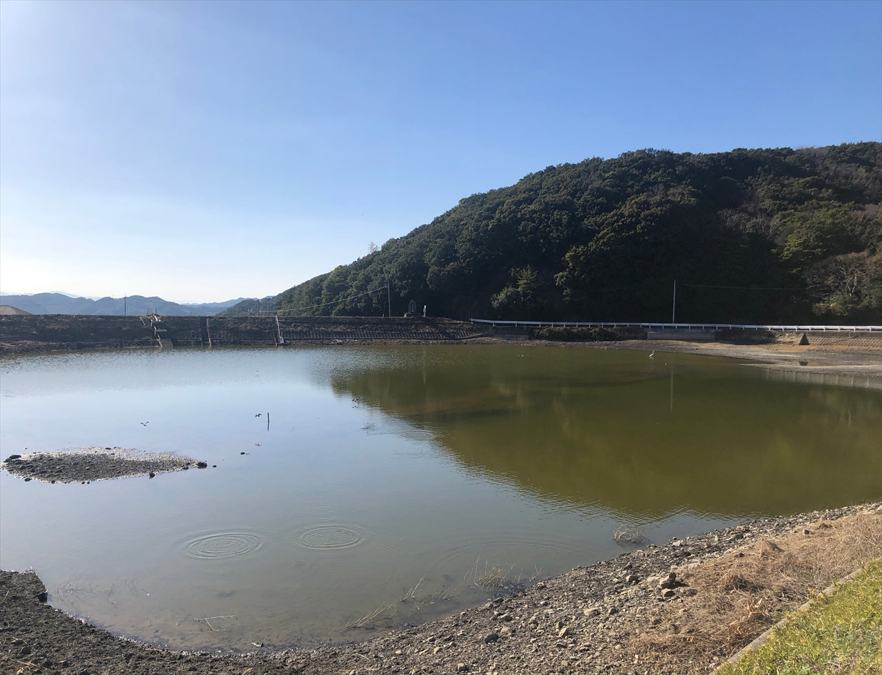 ◆後藤池