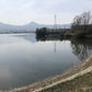 ◆仁池
