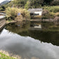 ◆水木池