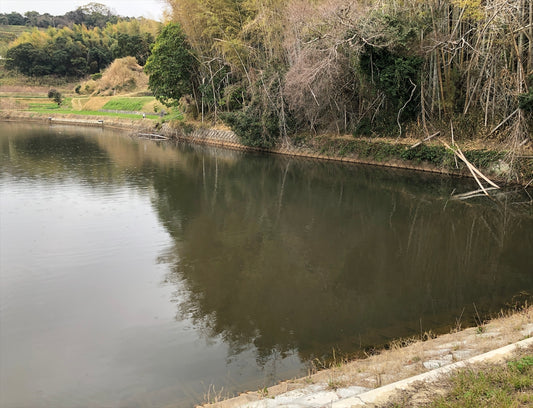 中ノ池/新池久留麻