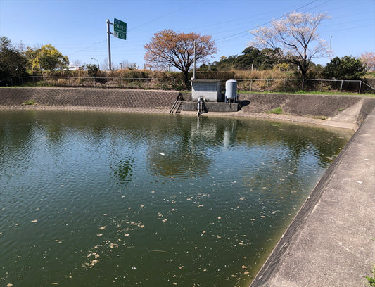 ◆新池（山口一号古墳）