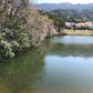 ◆大塚池