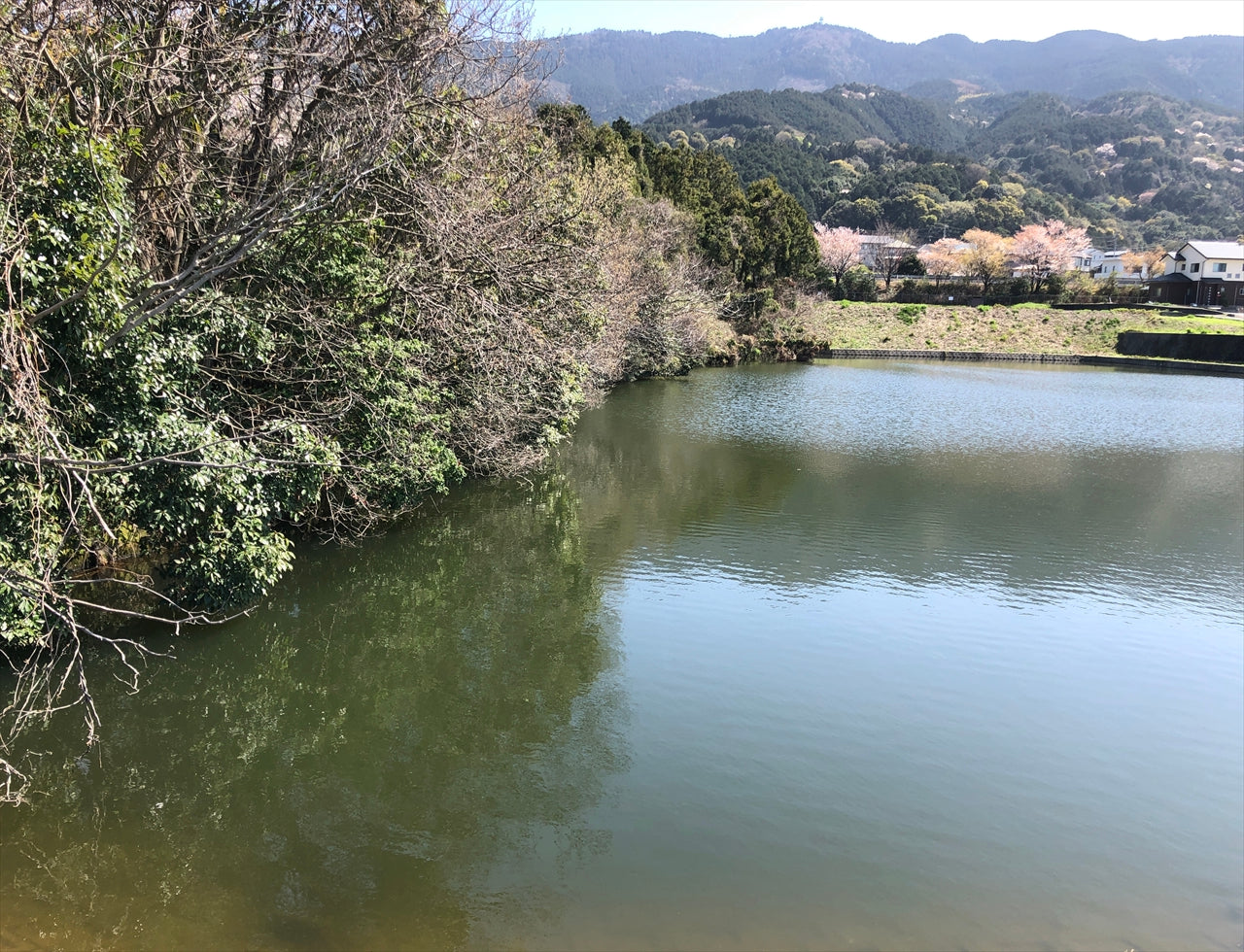 ◆大塚池