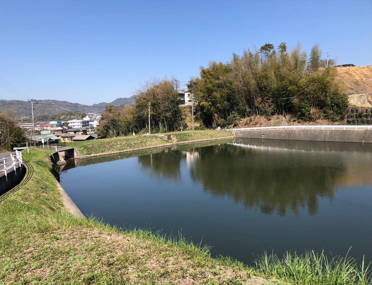 ◆東土居池