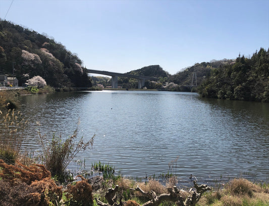 ◆飼谷池