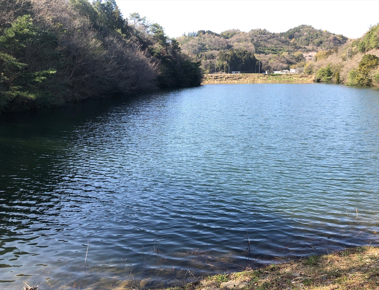 ◆早苗出下池