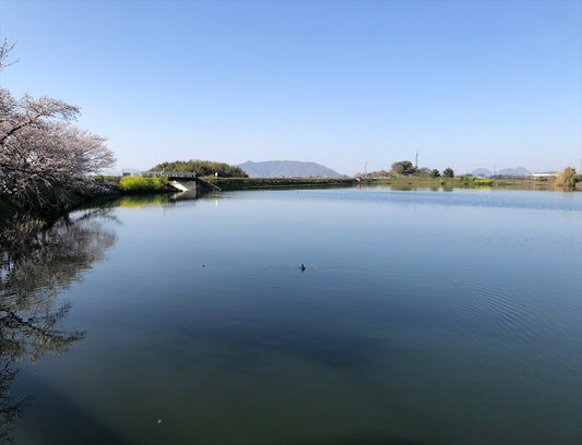 野々池