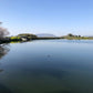 ◆野々池