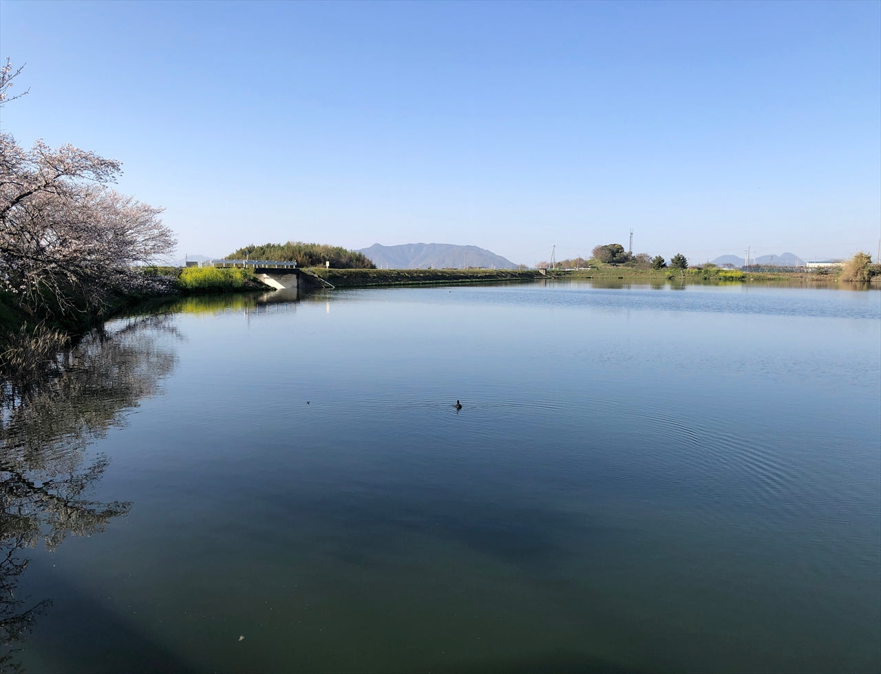 ◆野々池