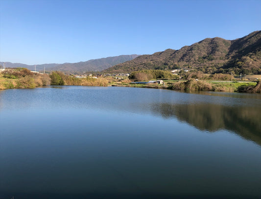 鶴亀池