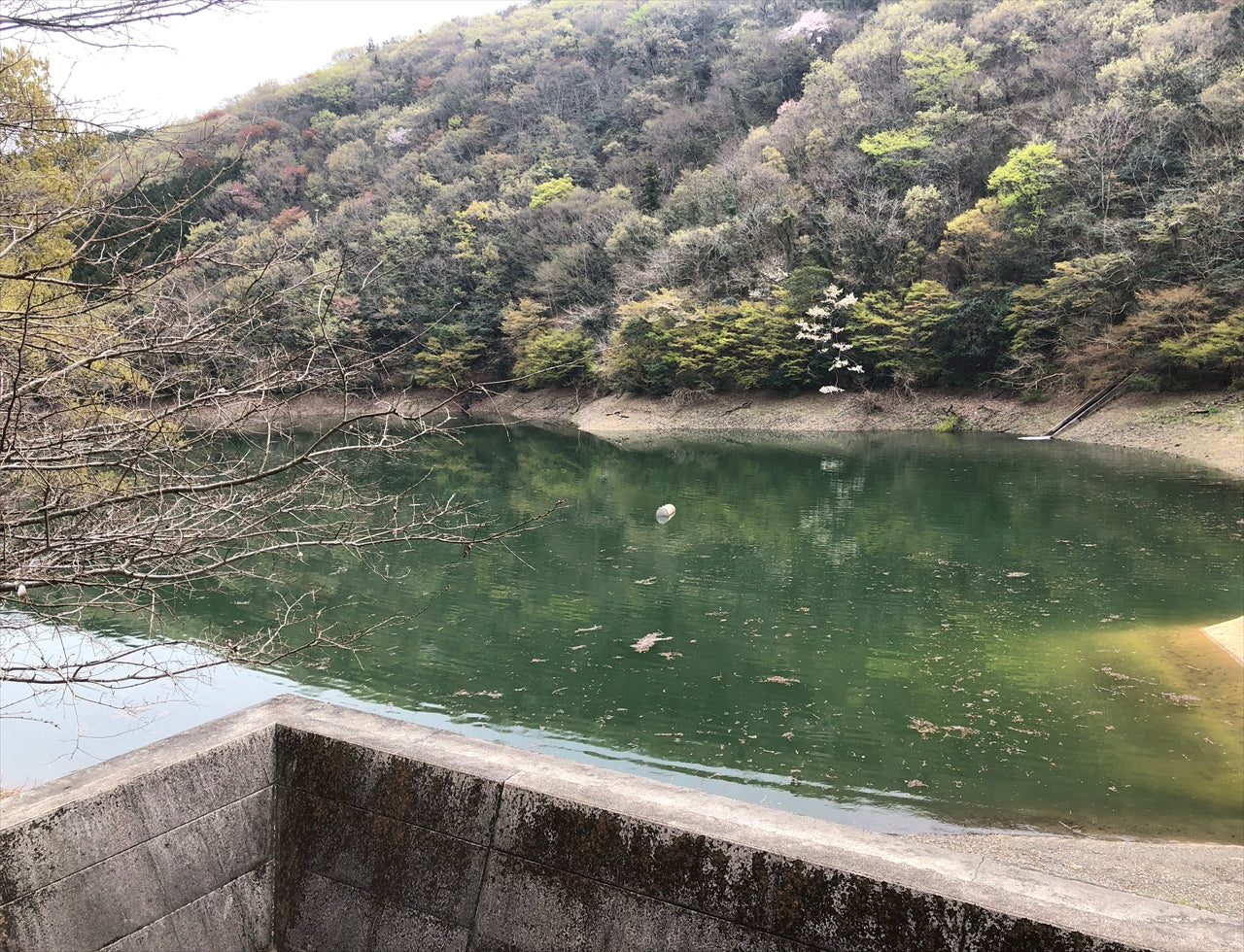 ◆第一金清池