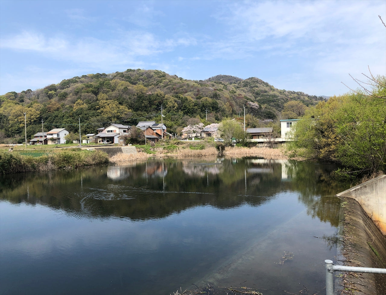 ◆称念寺南池