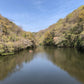 ◆自然寺城跡西大池