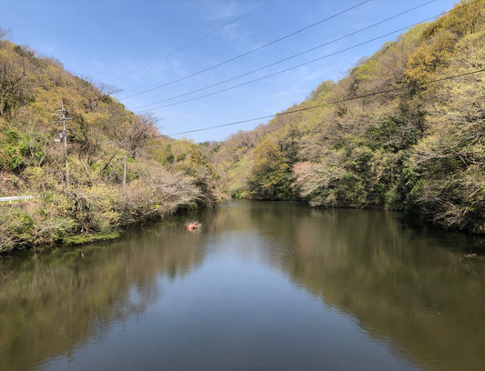 ◆自然寺城跡西大池