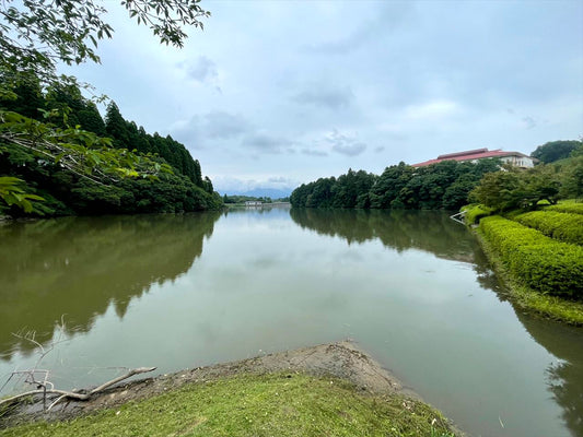 ◆瀬戸ため池（深水）