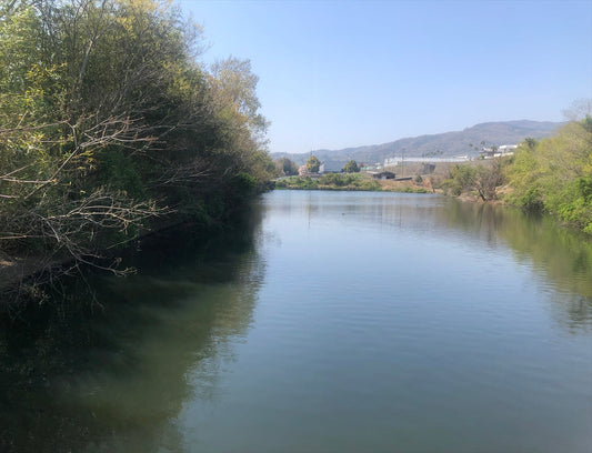 ◆熊谷寺仁王門西池