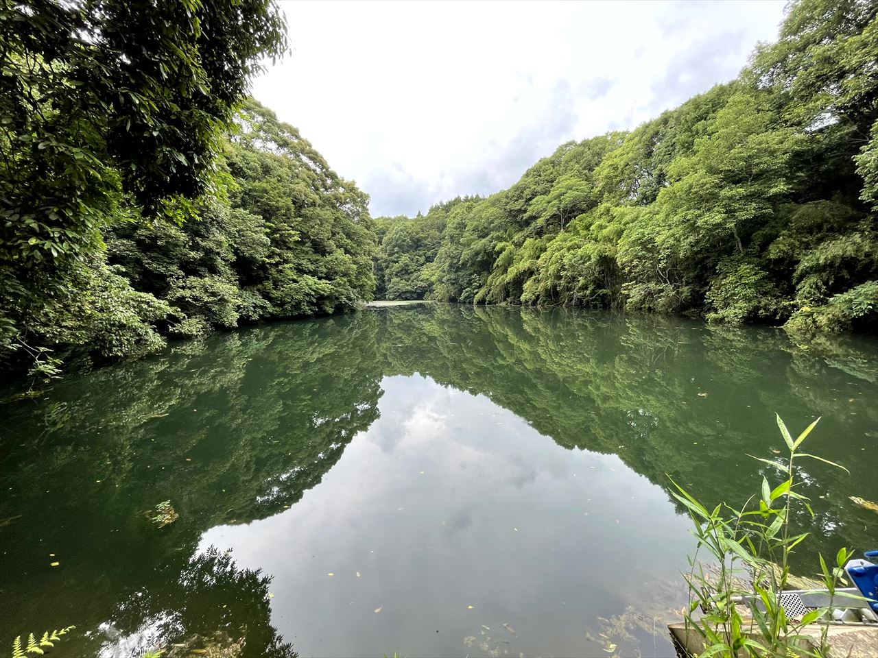 ◆新立池（深水）
