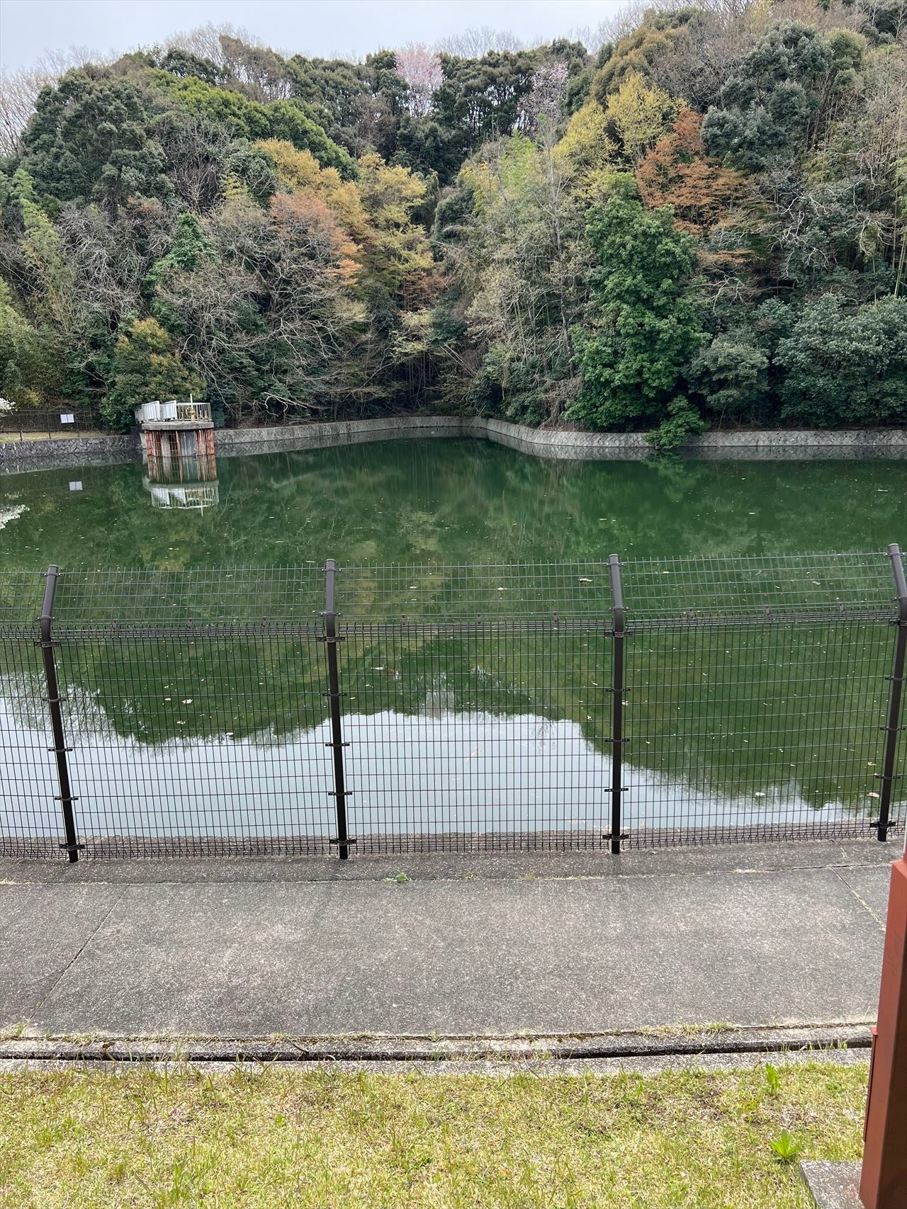 ◆藤原山公園池