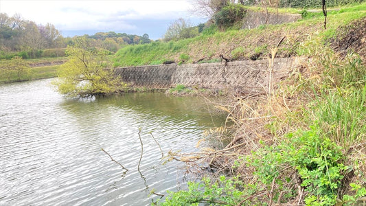 下長谷池（五色広石中）