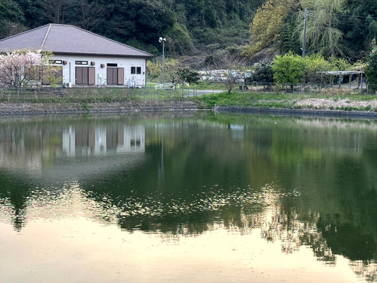 中郷下堰（海保）