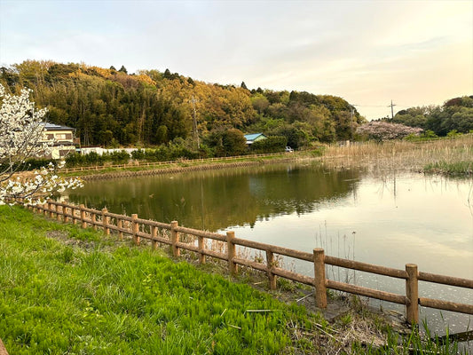 中郷上堰（海保）