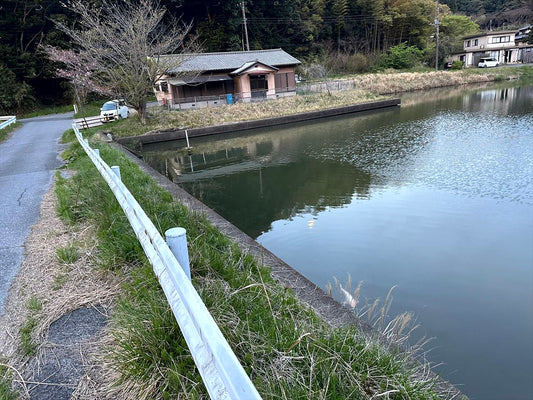 ◆本堰（畑木）