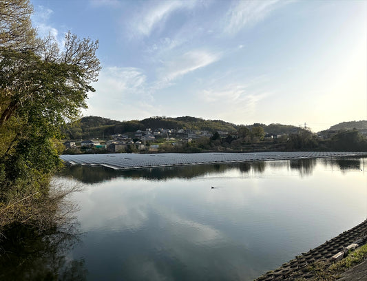 渡池（香川町浅野）