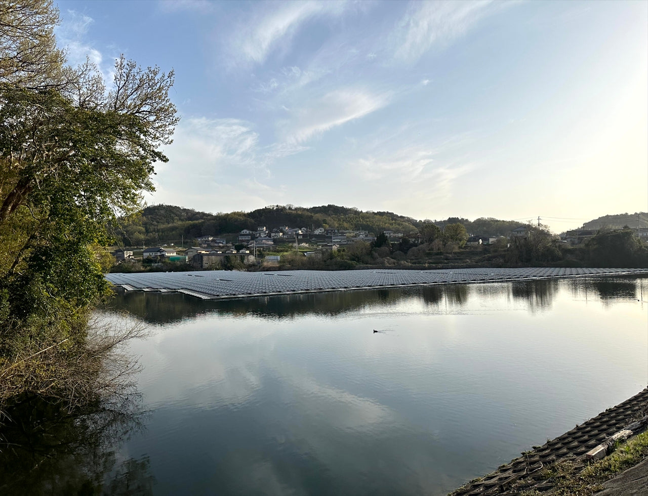 ◆渡池（香川町浅野）