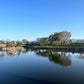 ◆大上池（由佐）