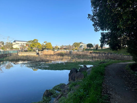 ◆玄畜池（由佐）