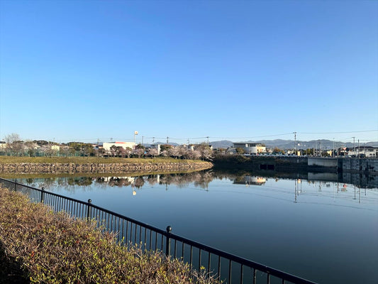 ◆尾池（横井）