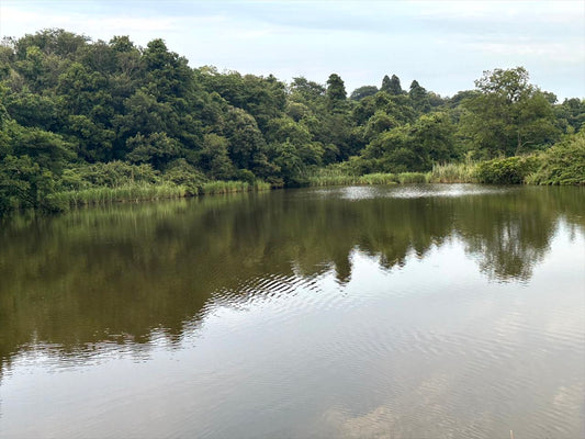 ◆赤池（野田）