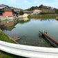 ◆新池東小池（川内原）