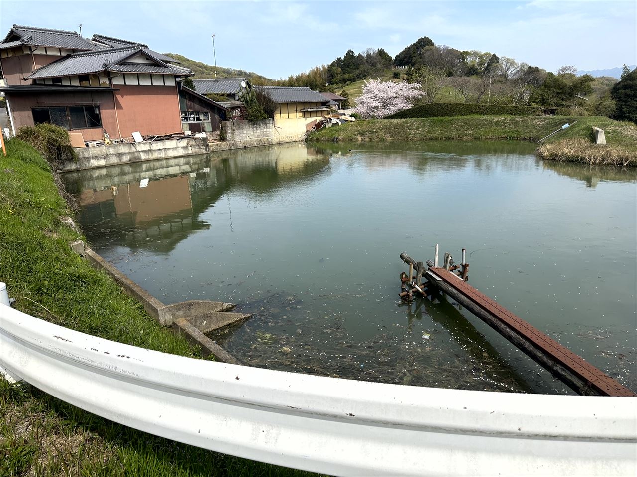 ◆新池東小池（川内原）