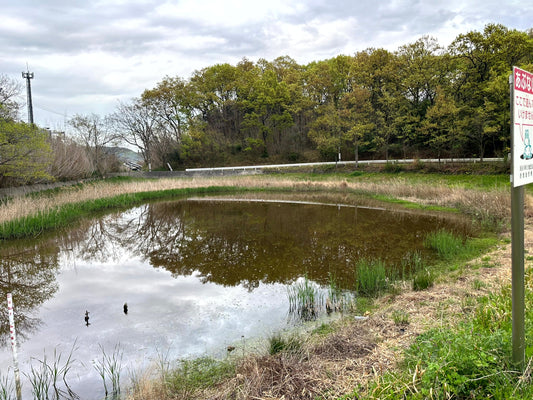 ◆唐渡池（福家）