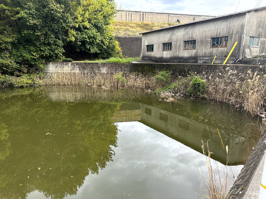 ◆山池（岡本町）