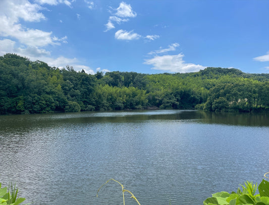 ◆大池（興戸）