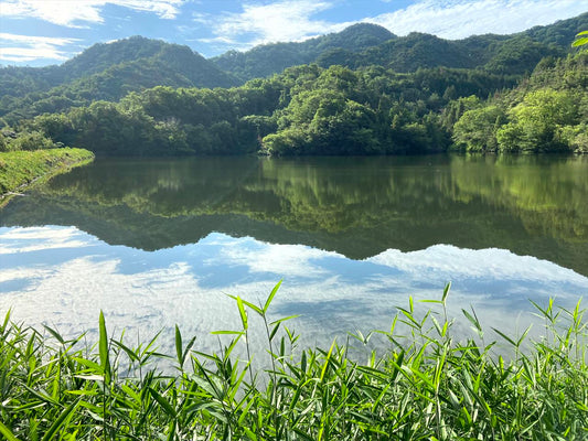 ◆畑池（南区阿津）