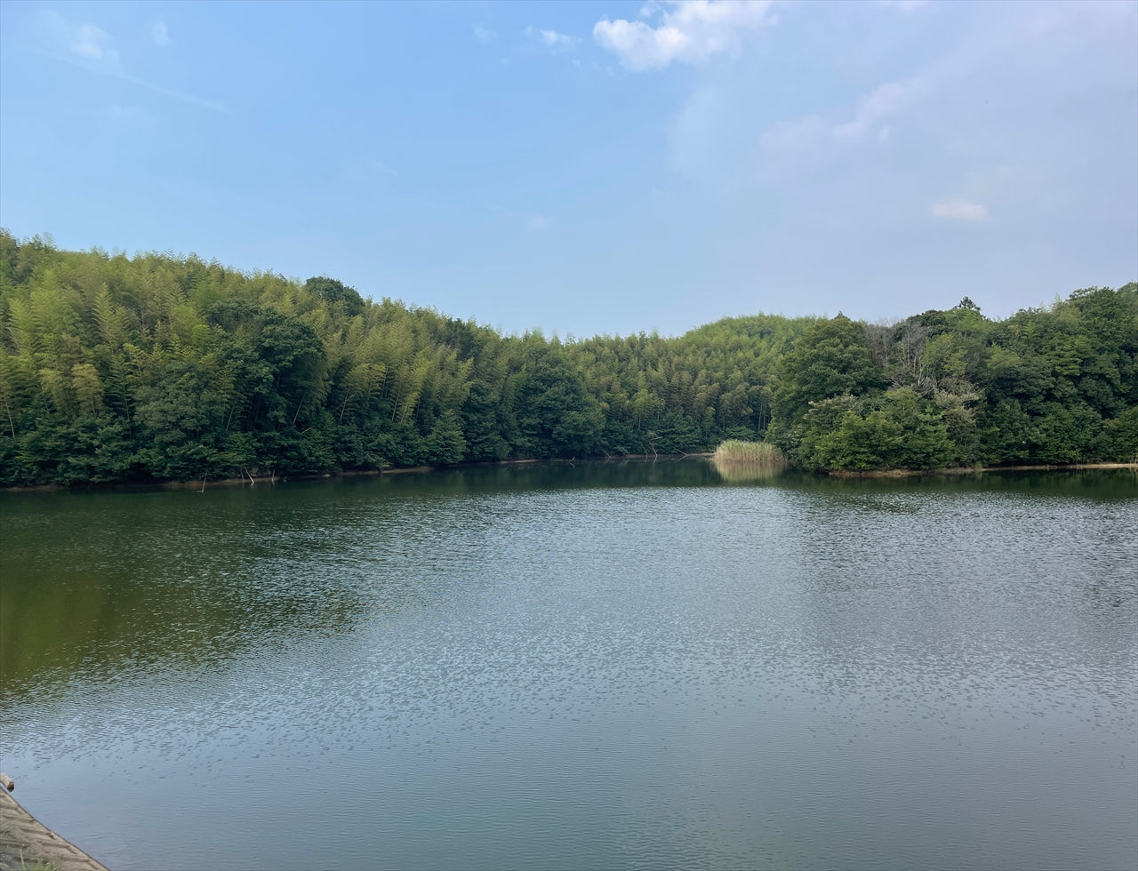 ◆新田池(帆山)