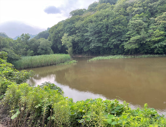 児島上の町坂池