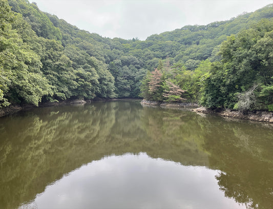 早瀧自然公園池