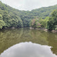 ◆早瀧自然公園池