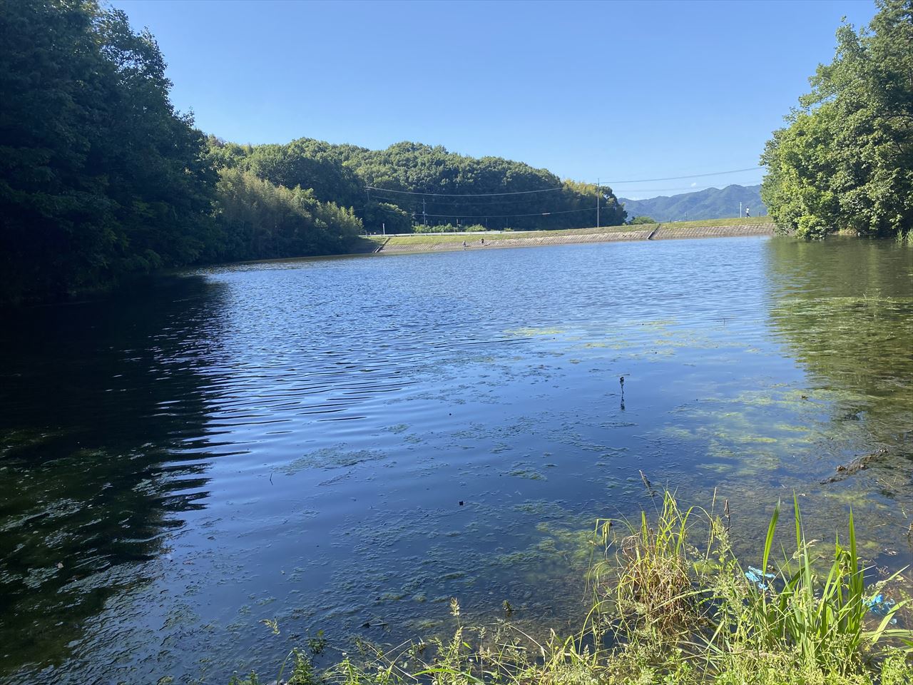 ◆山田池（総社市西郡）